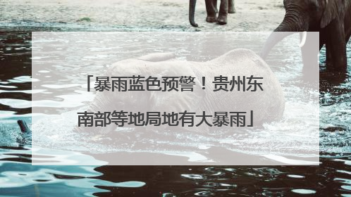 暴雨蓝色预警！贵州东南部等地局地有大暴雨