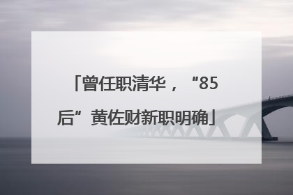 曾任职清华，“85后”黄佐财新职明确