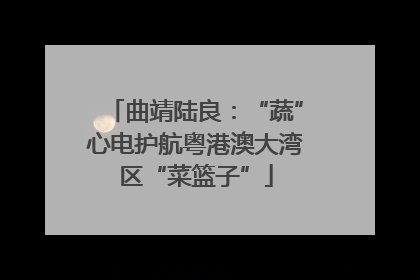曲靖陆良：“蔬”心电护航粤港澳大湾区“菜篮子”