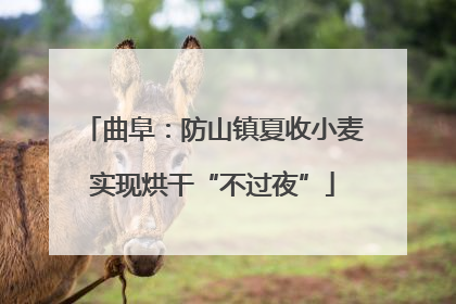 曲阜：防山镇夏收小麦实现烘干“不过夜”