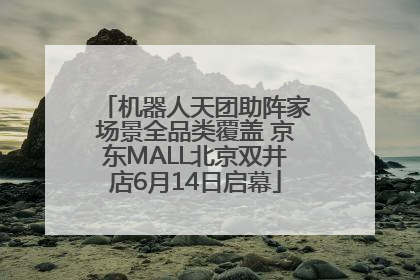 机器人天团助阵家场景全品类覆盖 京东MALL北京双井店6月14日启幕