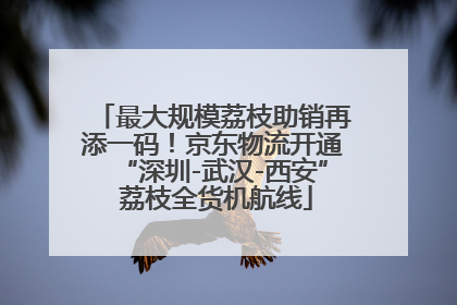 最大规模荔枝助销再添一码！京东物流开通“深圳-武汉-西安” 荔枝全货机航线