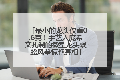 最小的龙头仅重0.6克！手艺人庞希文扎制的微型龙头蜈蚣风筝惊艳亮相