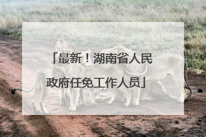 最新！湖南省人民政府任免工作人员