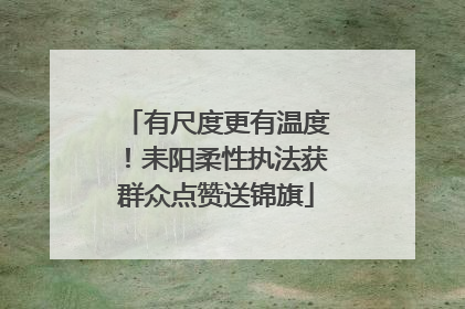 有尺度更有温度！耒阳柔性执法获群众点赞送锦旗
