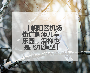 朝阳区机场街道新添儿童乐园，滑梯也是飞机造型