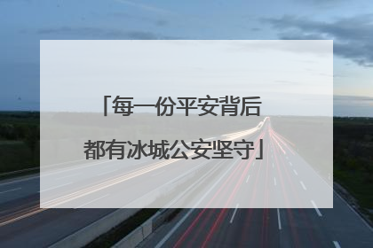 每一份平安背后 都有冰城公安坚守