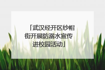 武汉经开区纱帽街开展防溺水宣传进校园活动