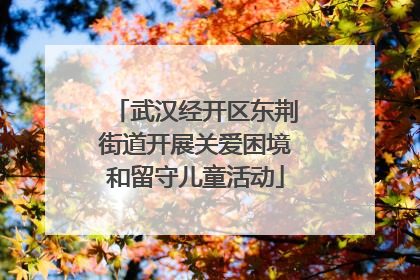 武汉经开区东荆街道开展关爱困境和留守儿童活动