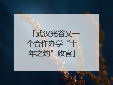 武汉光谷又一个合作办学“十年之约”收官