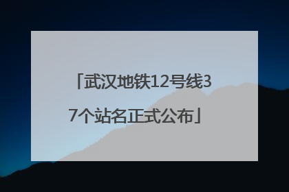 武汉地铁12号线37个站名正式公布