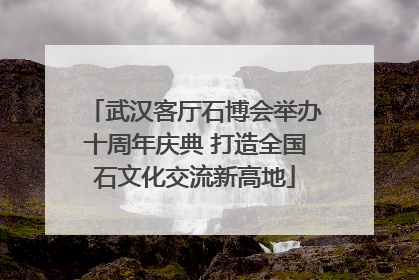 武汉客厅石博会举办十周年庆典 打造全国石文化交流新高地