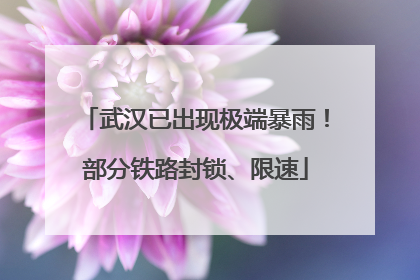 武汉已出现极端暴雨！部分铁路封锁、限速