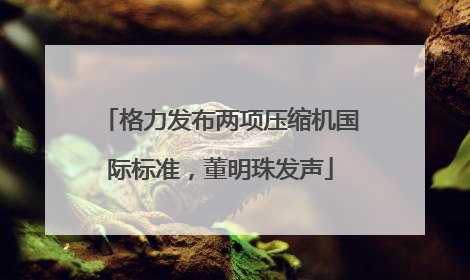 格力发布两项压缩机国际标准，董明珠发声