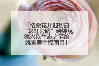 格桑花开迎初夏 “彩虹公路”绘锦绣 德兴以生态之笔绘就宜居幸福图景