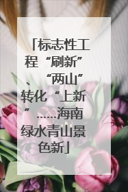 标志性工程“刷新”、“两山”转化“上新”……海南绿水青山景色新