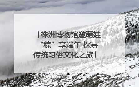株洲博物馆邀萌娃“粽”享端午 探寻传统习俗文化之旅