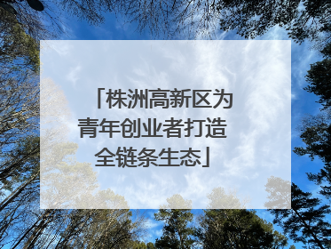 株洲高新区为青年创业者打造全链条生态