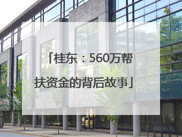 桂东：560万帮扶资金的背后故事