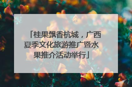 桂果飘香杭城，广西夏季文化旅游推广暨水果推介活动举行