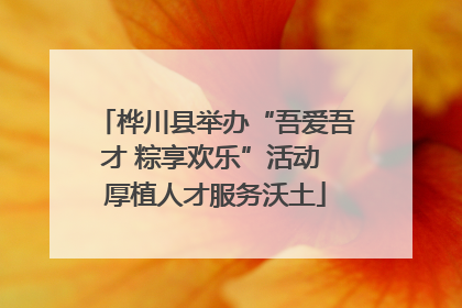 桦川县举办“吾爱吾才 粽享欢乐”活动 厚植人才服务沃土