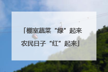棚室蔬菜“绿”起来 农民日子“红”起来