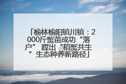 榆林榆阳镇川镇：2000斤蟹苗成功“落户” 蹚出“稻蟹共生”生态种养新路径