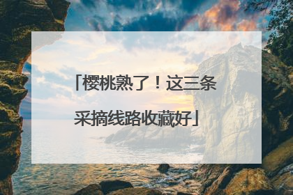 樱桃熟了！这三条采摘线路收藏好