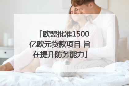 欧盟批准1500亿欧元贷款项目 旨在提升防务能力