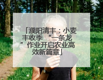 濮阳清丰：小麦丰收季 “一条龙”作业开启农业高效新篇章