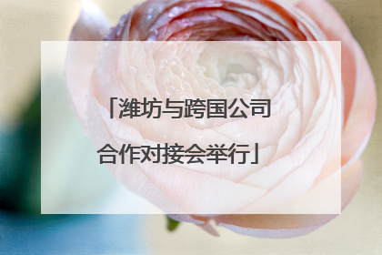 潍坊与跨国公司合作对接会举行