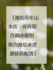 潍坊市牟山水库：库库联合调水枢纽 助力潍坊水资源优化配置