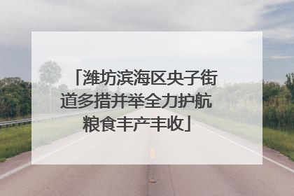 潍坊滨海区央子街道多措并举全力护航粮食丰产丰收