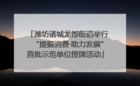 潍坊诸城龙都街道举行“提振消费·助力发展”首批示范单位授牌活动
