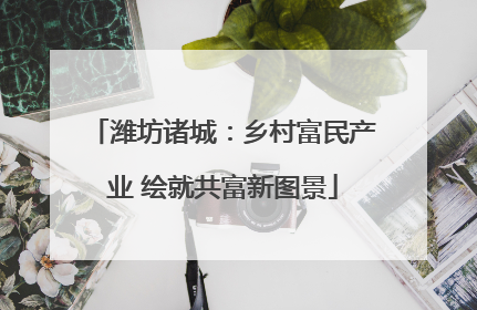 潍坊诸城：乡村富民产业 绘就共富新图景
