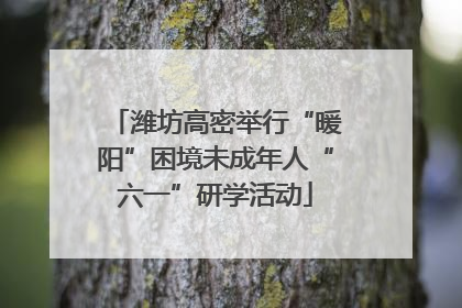 潍坊高密举行“暖阳”困境未成年人“六一”研学活动