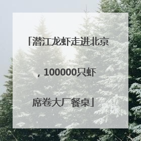 潜江龙虾走进北京，100000只虾席卷大厂餐桌
