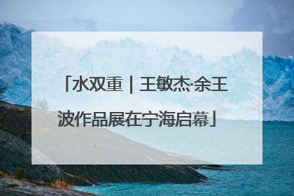 水双重｜王敏杰·余王波作品展在宁海启幕