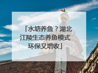 水塘养鱼？湖北江陵生态养鱼模式环保又增收