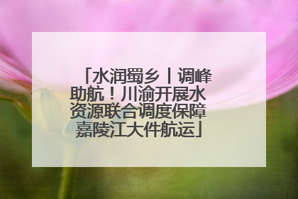 水润蜀乡丨调峰助航！川渝开展水资源联合调度保障嘉陵江大件航运