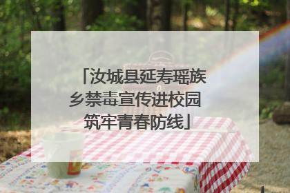 汝城县延寿瑶族乡禁毒宣传进校园 筑牢青春防线