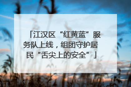 江汉区“红黄蓝”服务队上线，组团守护居民“舌尖上的安全”