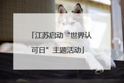 江苏启动“世界认可日”主题活动