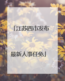 江苏四市发布最新人事任免