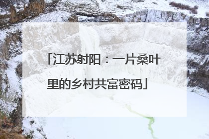 江苏射阳：一片桑叶里的乡村共富密码