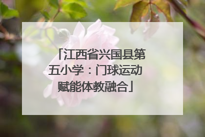 江西省兴国县第五小学：门球运动赋能体教融合