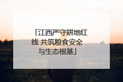 江西严守耕地红线 共筑粮食安全与生态根基