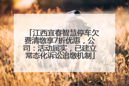 江西宜春智慧停车欠费清缴享7折优惠，公司：活动属实，已建立常态化诉讼追缴机制