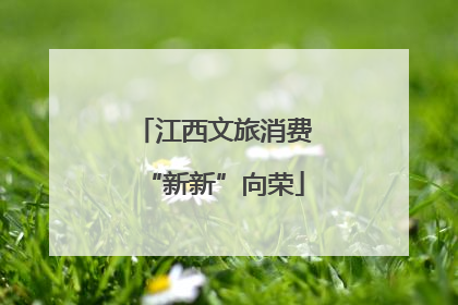 江西文旅消费“新新”向荣