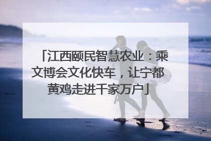 江西颐民智慧农业：乘文博会文化快车，让宁都黄鸡走进千家万户